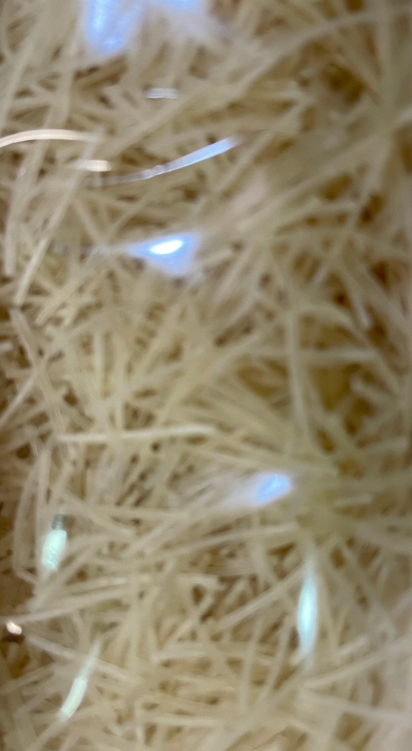 Fideos de arroz y quinoa