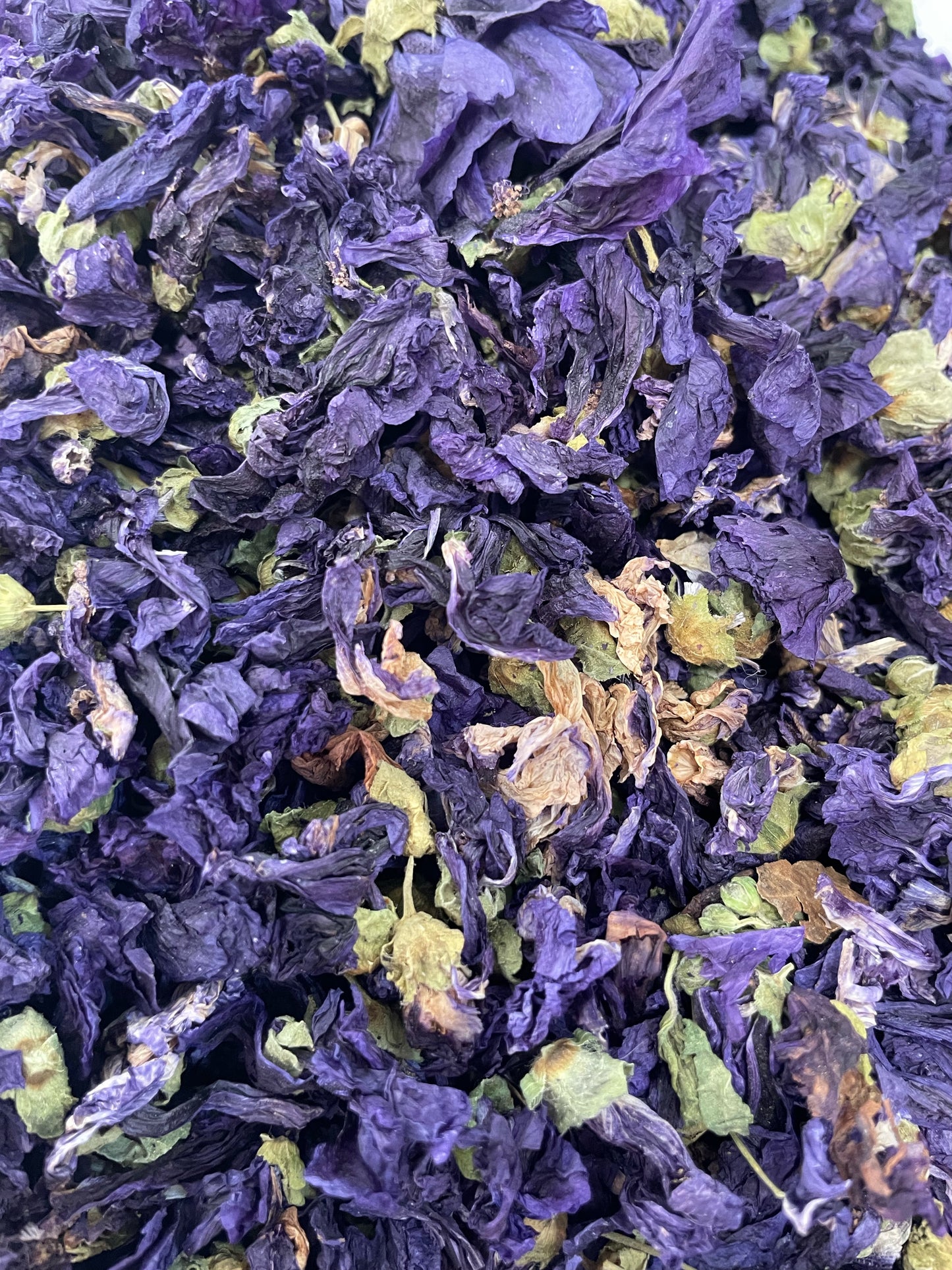 Flor de malva
