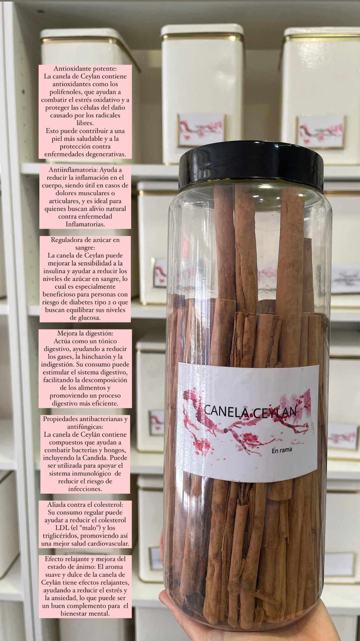 Canela de Ceylán en rama