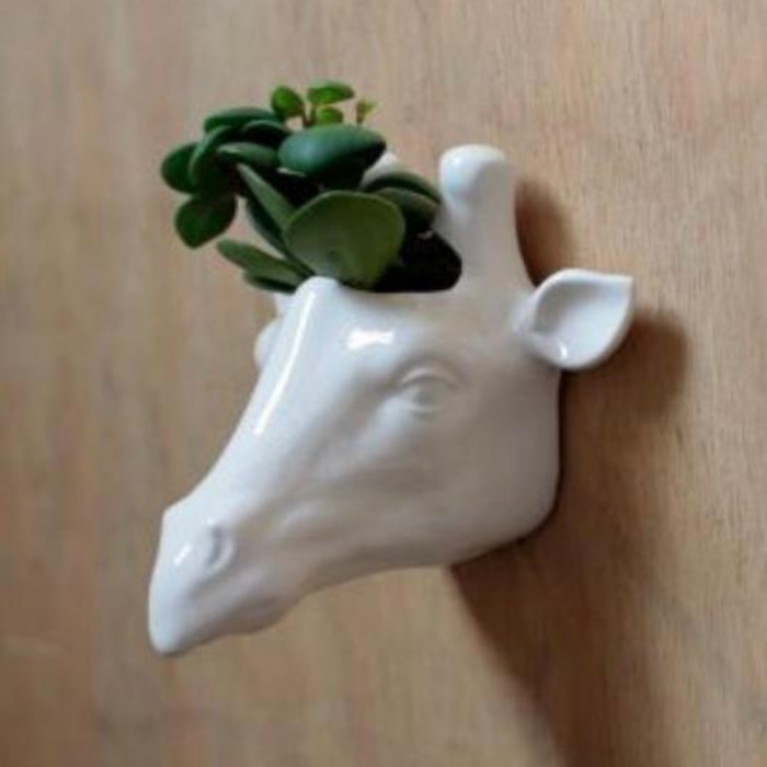 Jarrón de pared