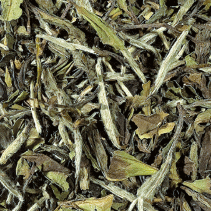 Té blanco Pai Mu Tan
