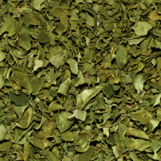 Hierba moringa