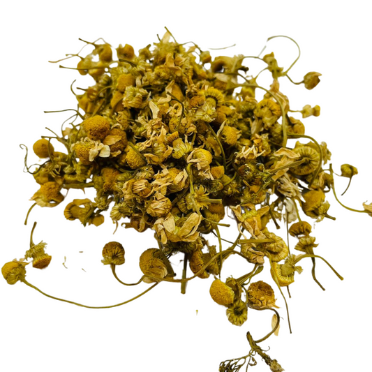 Hierba de Manzanilla en flor dulce