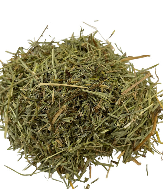 Hierba cola de caballo