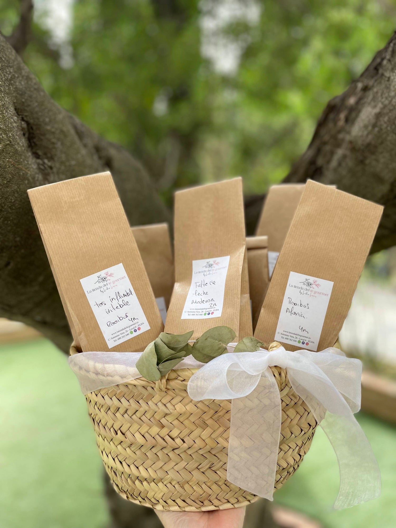 Salud & té