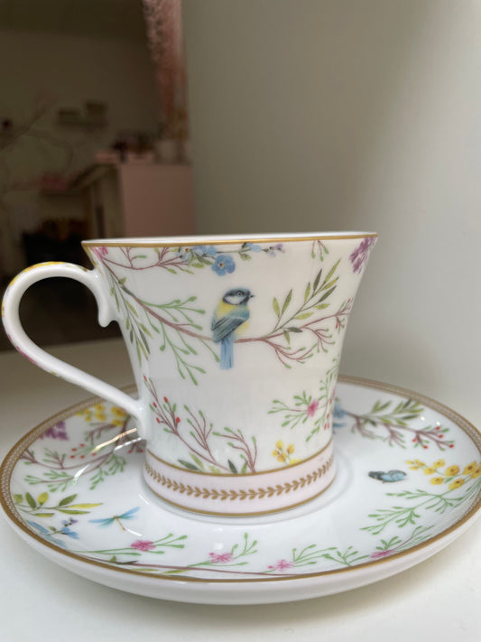 Taza bristi ingles